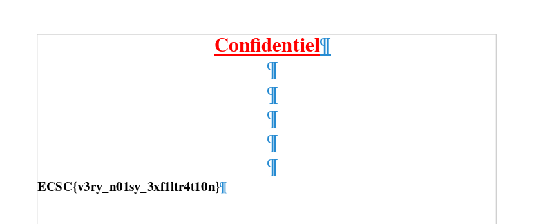docx_flag