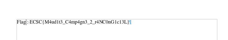 docx_flag